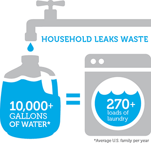Household leaks waste infographic