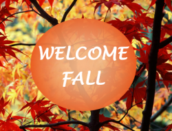 Fall Green Waste Collection
